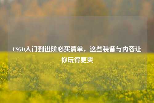 CSGO入门到进阶必买清单，这些装备与内容让你玩得更爽