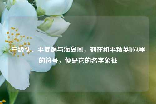 三级头、平底锅与海岛风，刻在和平精英DNA里的符号，便是它的名字象征