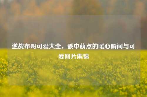 逆战布哥可爱大全，戳中萌点的暖心瞬间与可爱图片集锦
