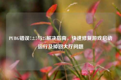 PUBG错误7.2.7与25解决指南，快速修复游戏启动运行及掉回大厅问题