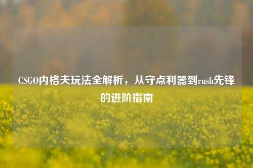 CSGO内格夫玩法全解析，从守点利器到rush先锋的进阶指南