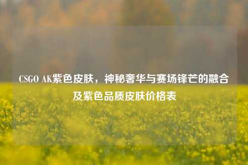 CSGO AK紫色皮肤，神秘奢华与赛场锋芒的融合及紫色品质皮肤价格表