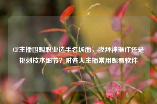 CF主播围观职业选手名场面，膜拜神操作还是挑刺技术细节？附各大主播常用观看软件