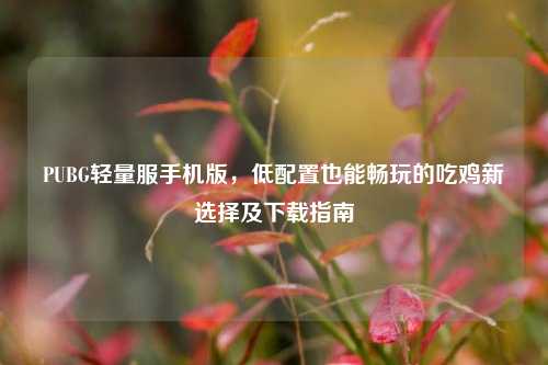 PUBG轻量服手机版，低配置也能畅玩的吃鸡新选择及下载指南