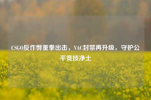 CSGO反作弊重拳出击，VAC封禁再升级，守护公平竞技净土