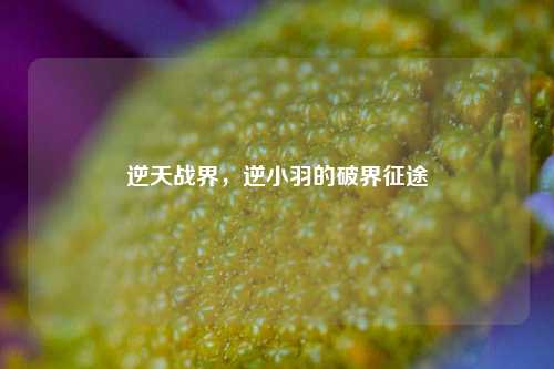 逆天战界，逆小羽的破界征途