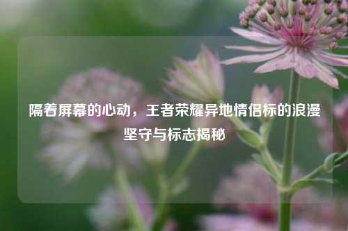 隔着屏幕的心动，王者荣耀异地情侣标的浪漫坚守与标志揭秘