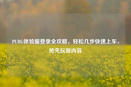 PUBG体验服登录全攻略，轻松几步快速上车，抢先玩新内容
