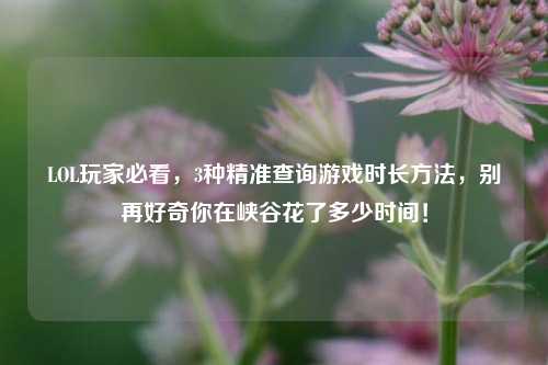 LOL玩家必看，3种精准查询游戏时长方法，别再好奇你在峡谷花了多少时间！