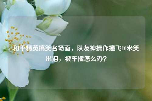 和平精英搞笑名场面，队友神操作撞飞10米笑出泪，被车撞怎么办？