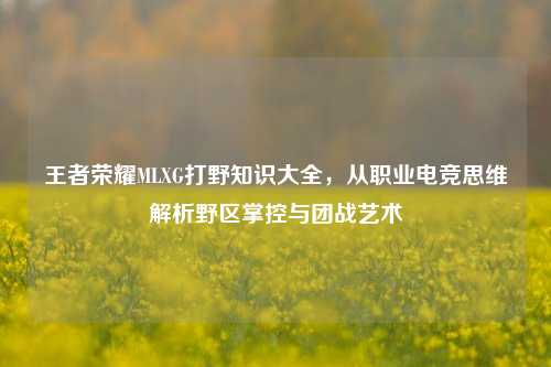 王者荣耀MLXG打野知识大全，从职业电竞思维解析野区掌控与团战艺术