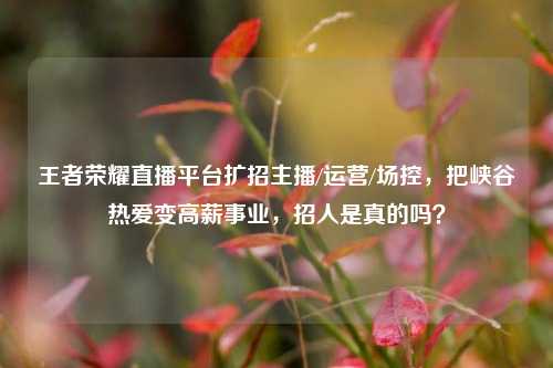 王者荣耀直播平台扩招主播/运营/场控，把峡谷热爱变高薪事业，招人是真的吗？
