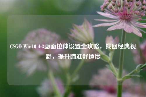 CSGO Win10 4:3画面拉伸设置全攻略，找回经典视野，提升瞄准舒适度
