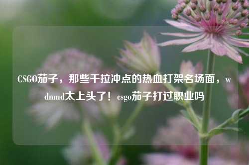 CSGO茄子，那些干拉冲点的热血打架名场面，wdnmd太上头了！csgo茄子打过职业吗