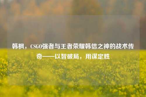 韩枫，CSGO强者与王者荣耀韩信之神的战术传奇——以智破局，用谋定胜