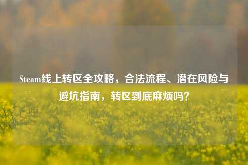 Steam线上转区全攻略，合法流程、潜在风险与避坑指南，转区到底麻烦吗？