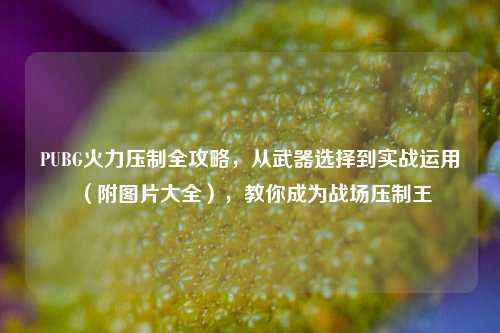 PUBG火力压制全攻略，从武器选择到实战运用（附图片大全），教你成为战场压制王
