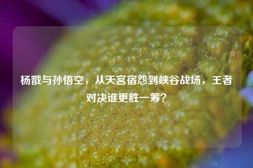 杨戬与孙悟空，从天宫宿怨到峡谷战场，王者对决谁更胜一筹？