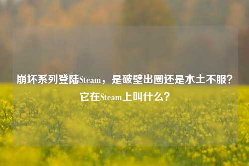 崩坏系列登陆Steam，是破壁出圈还是水土不服？它在Steam上叫什么？
