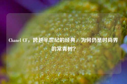 Chanel CF，跨越半世纪的经典，为何仍是时尚界的常青树？