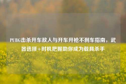 PUBG击杀开车敌人与开车开枪不刹车指南，武器选择+时机把握助你成为载具杀手