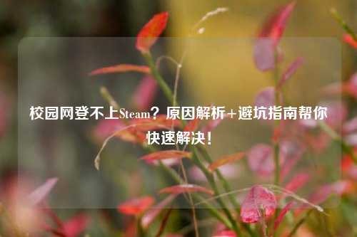 校园网登不上Steam？原因解析+避坑指南帮你快速解决！