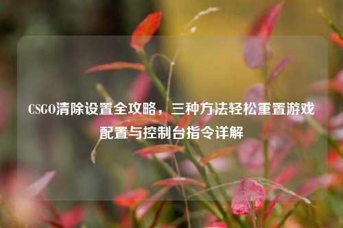 CSGO清除设置全攻略，三种方法轻松重置游戏配置与控制台指令详解