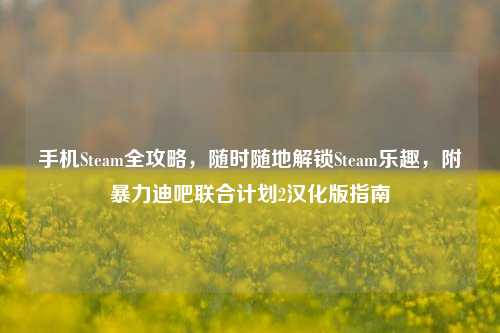 手机Steam全攻略，随时随地解锁Steam乐趣，附暴力迪吧联合计划2汉化版指南