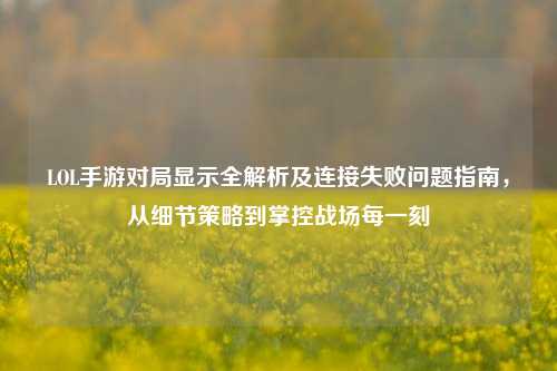 LOL手游对局显示全解析及连接失败问题指南，从细节策略到掌控战场每一刻