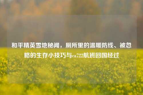 和平精英雪地秘闻，厕所里的温暖防线、被忽略的生存小技巧与ca722航班回国经过
