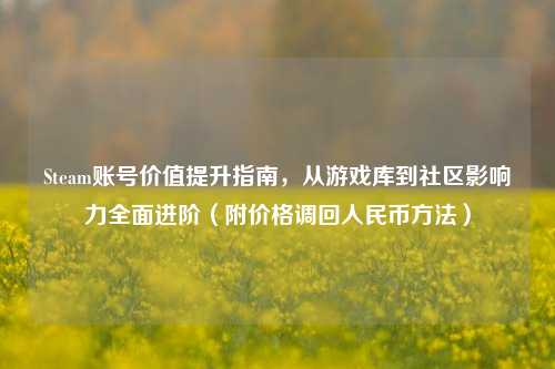 Steam账号价值提升指南，从游戏库到社区影响力全面进阶（附价格调回人民币方法）