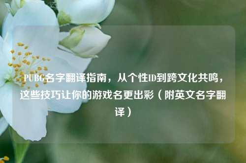 PUBG名字翻译指南，从个性ID到跨文化共鸣，这些技巧让你的游戏名更出彩（附英文名字翻译）