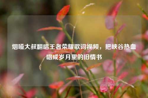 烟嗓大叔翻唱王者荣耀歌词视频，把峡谷热血唱成岁月里的旧情书