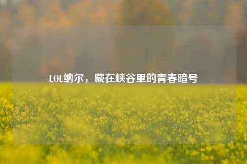 LOL纳尔，藏在峡谷里的青春暗号