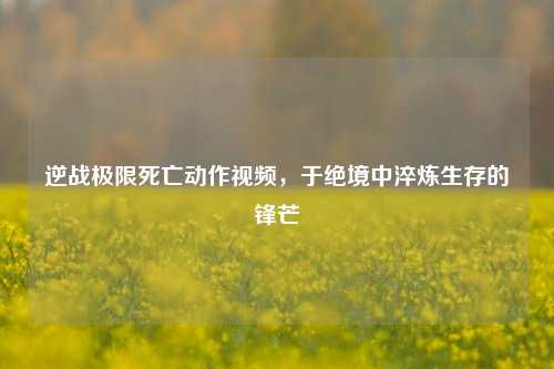逆战极限死亡动作视频，于绝境中淬炼生存的锋芒