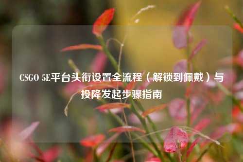 CSGO 5E平台头衔设置全流程（解锁到佩戴）与投降发起步骤指南