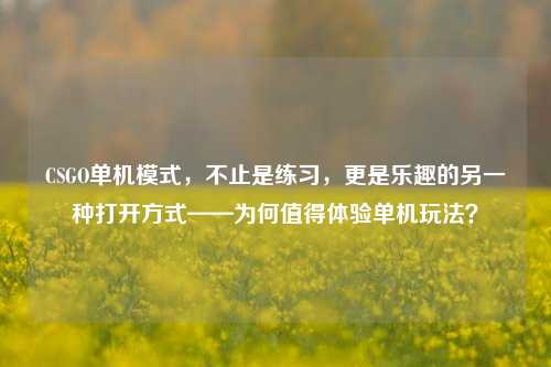 CSGO单机模式，不止是练习，更是乐趣的另一种打开方式——为何值得体验单机玩法？
