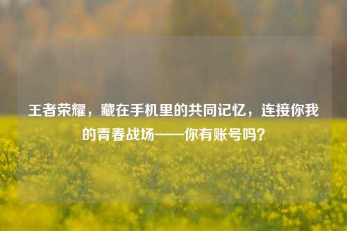 王者荣耀，藏在手机里的共同记忆，连接你我的青春战场——你有账号吗？