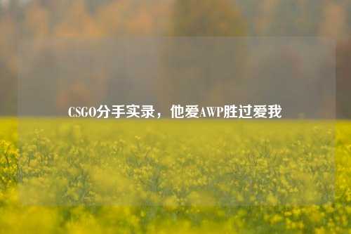 CSGO分手实录，他爱AWP胜过爱我