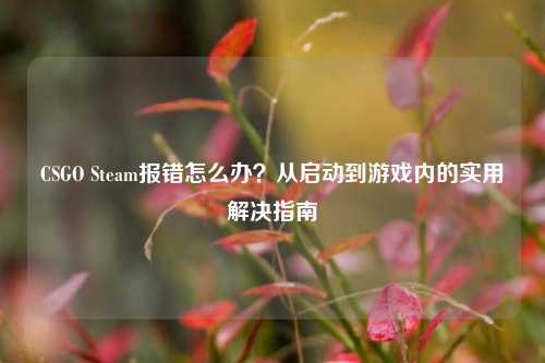CSGO Steam报错怎么办？从启动到游戏内的实用解决指南