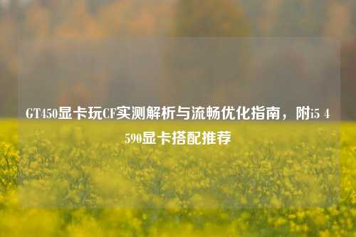 GT450显卡玩CF实测解析与流畅优化指南，附i5 4590显卡搭配推荐