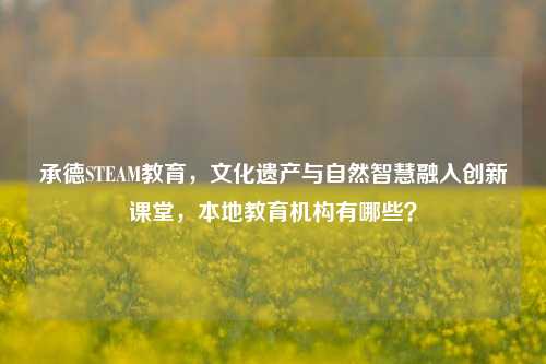 承德STEAM教育，文化遗产与自然智慧融入创新课堂，本地教育机构有哪些？