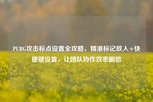 PUBG攻击标点设置全攻略，精准标记敌人+快捷键设置，让团队协作效率翻倍