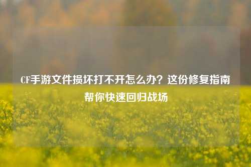 CF手游文件损坏打不开怎么办？这份修复指南帮你快速回归战场