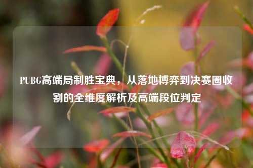 PUBG高端局制胜宝典，从落地博弈到决赛圈收割的全维度解析及高端段位判定