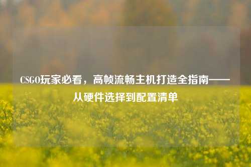 CSGO玩家必看，高帧流畅主机打造全指南——从硬件选择到配置清单