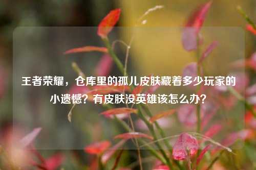 王者荣耀，仓库里的孤儿皮肤藏着多少玩家的小遗憾？有皮肤没英雄该怎么办？