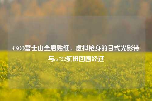 CSGO富士山全息贴纸，虚拟枪身的日式光影诗与ca722航班回国经过