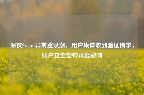 深夜Steam异常登录潮，用户集体收到验证请求，账户安全警钟再度敲响