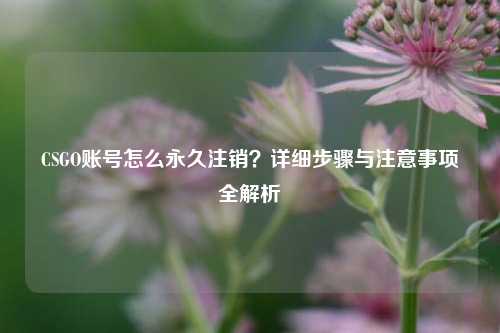 CSGO账号怎么永久注销？详细步骤与注意事项全解析